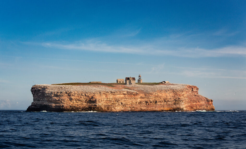 Phare Du Rocher Aux Oiseaux Chasseur De Phares